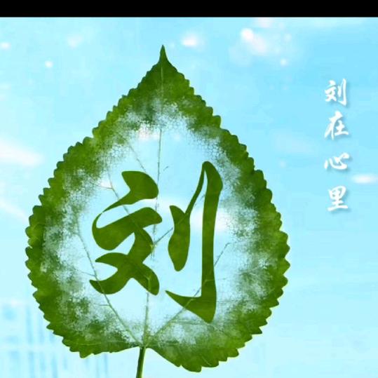 凤瑶