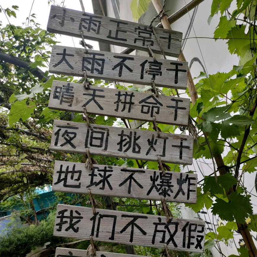 德行天下
