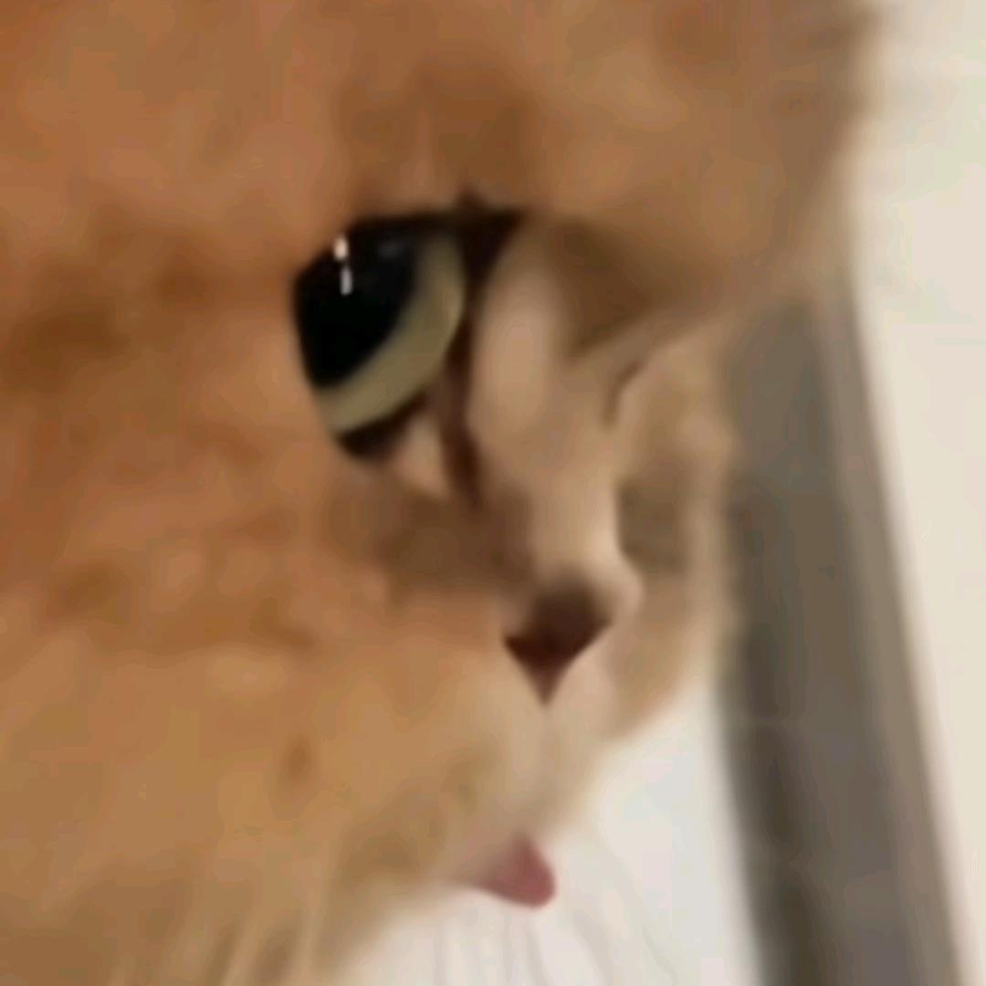 一个有趣的灵魂👌
