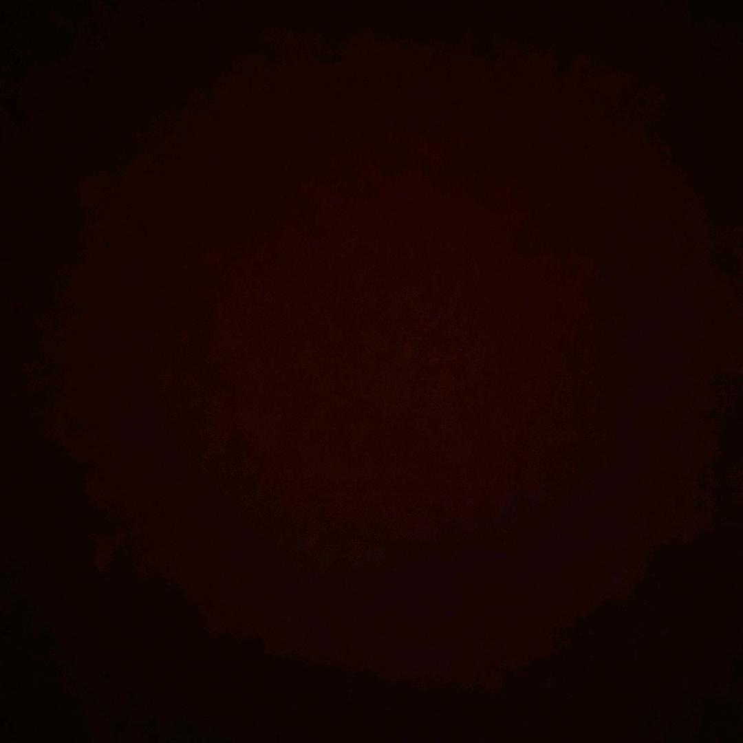 这个人很懒