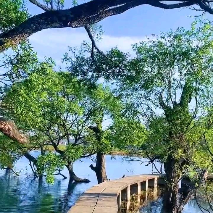 @随～心