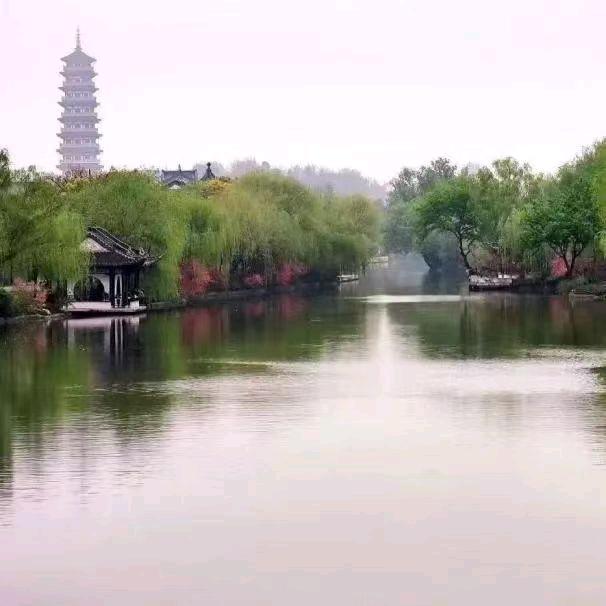 言闻竹堂