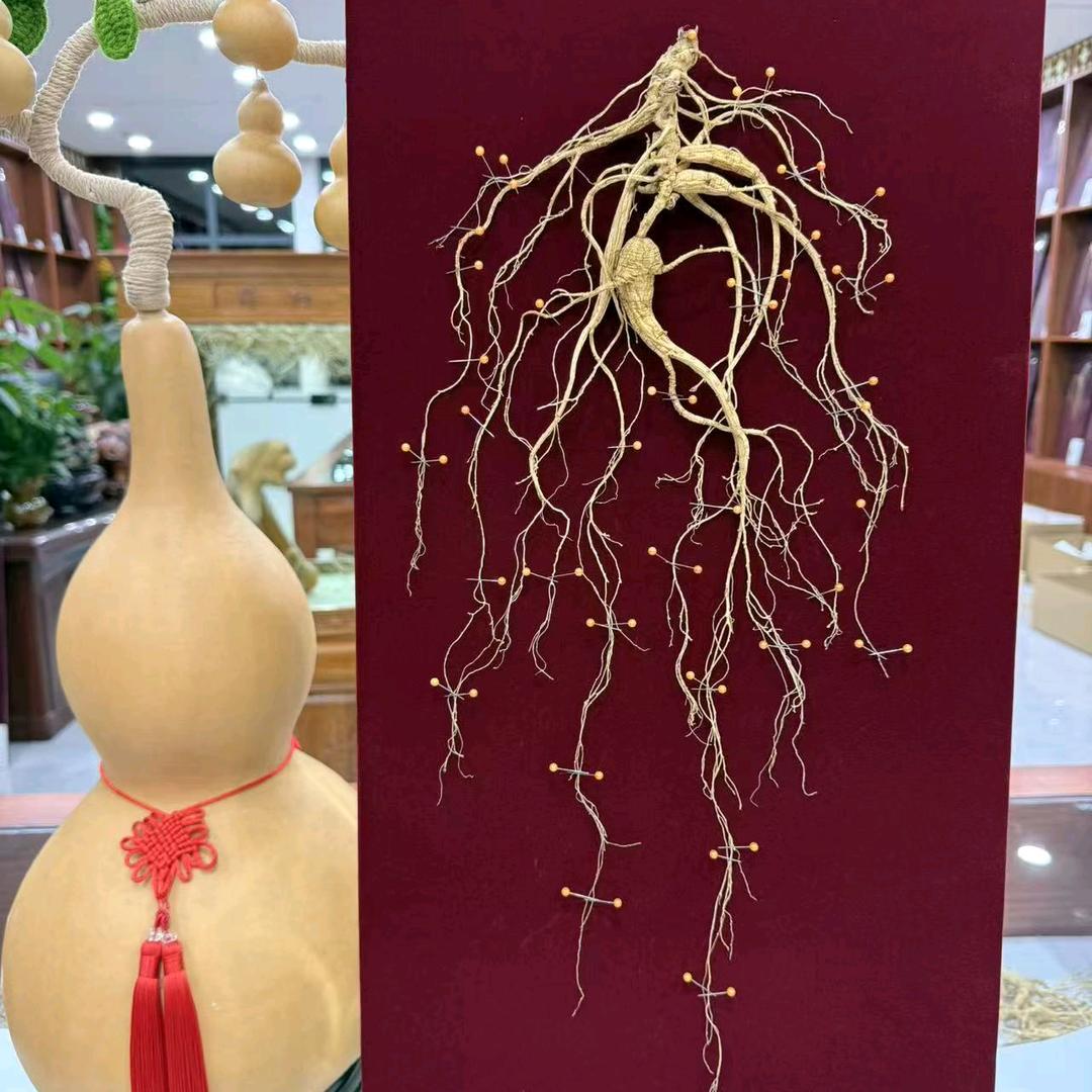 长白山宇洋特产店