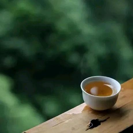 🕊微雨燕双飞🕊