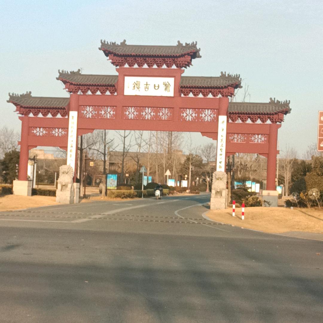 自由飞翔