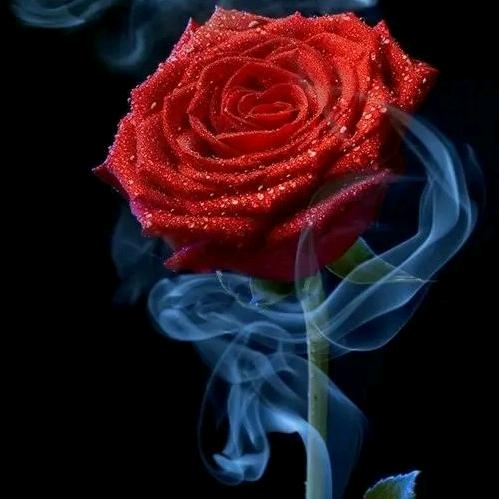 ღ᭄ꦿ꯭无დ᭄情꧔ꦿ℘⸙ღ᭄