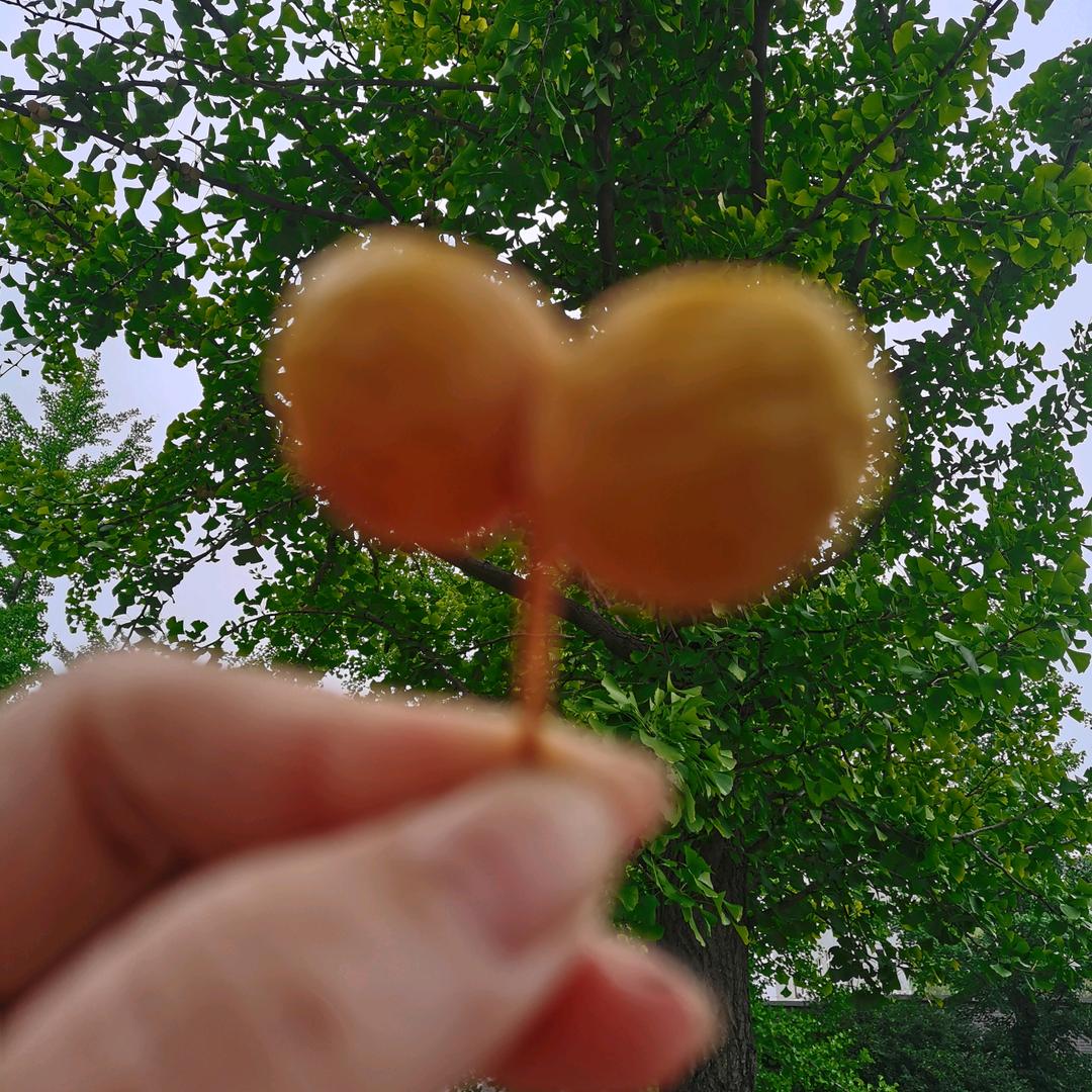 悠然鑫头像