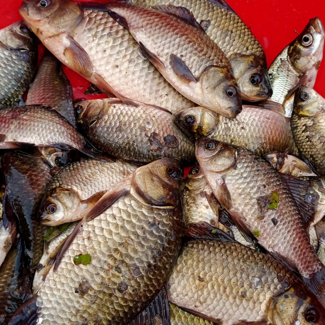 夕阳无限好，只是近黄昏