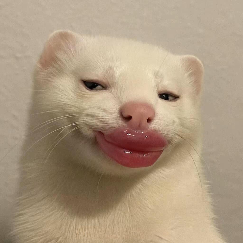 ﷽𒐫﷽𒐫﷽𒐫﷽𒐫﷽𒐫﷽