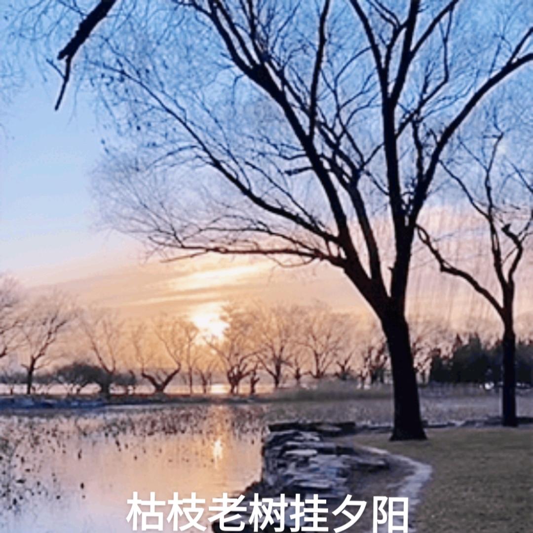 孤翁