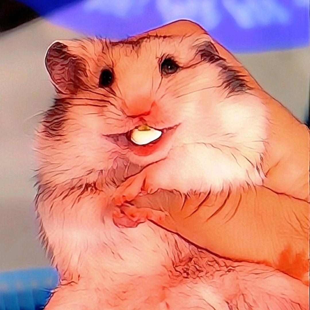 吱吱姐