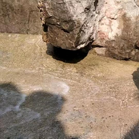 柔菲✔✔✔