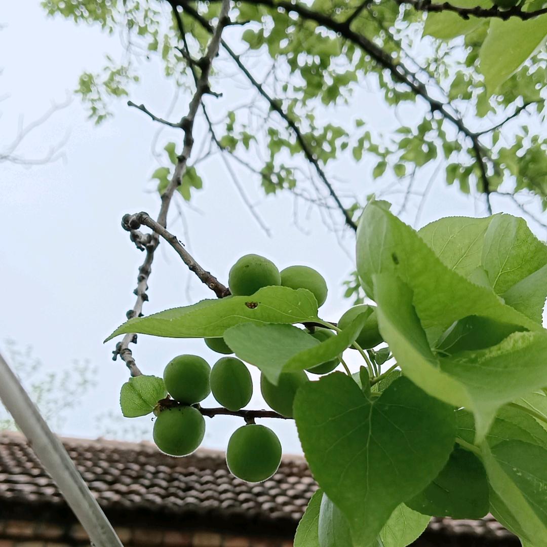 一家小卖铺