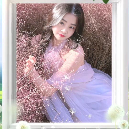 迟来的爱