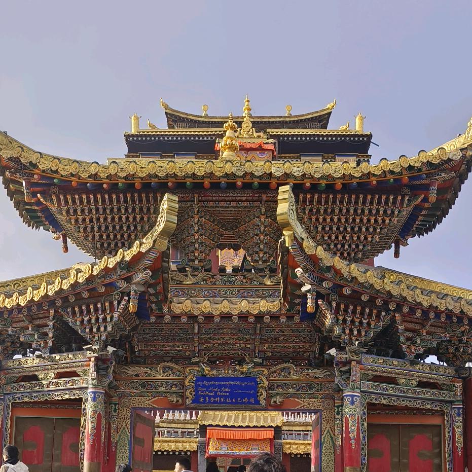 心向光明