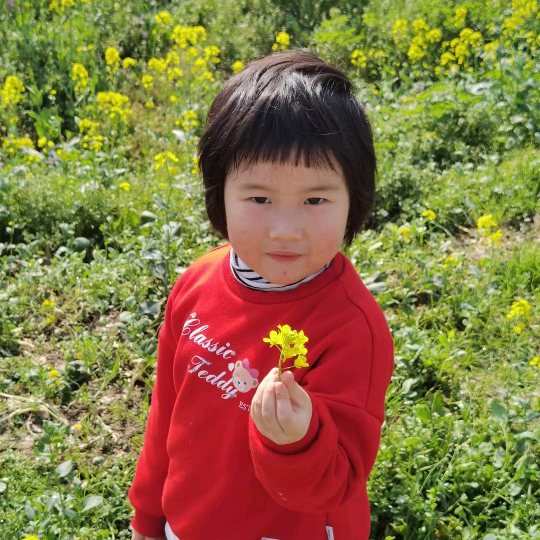 🌹开心快乐🌹