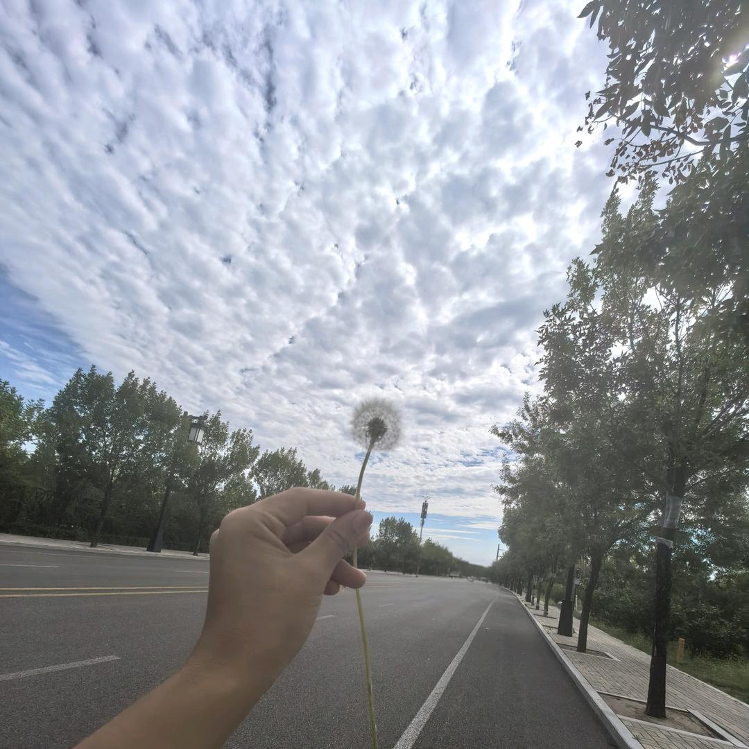 💞ℒᎭℯ⃝💞🔱