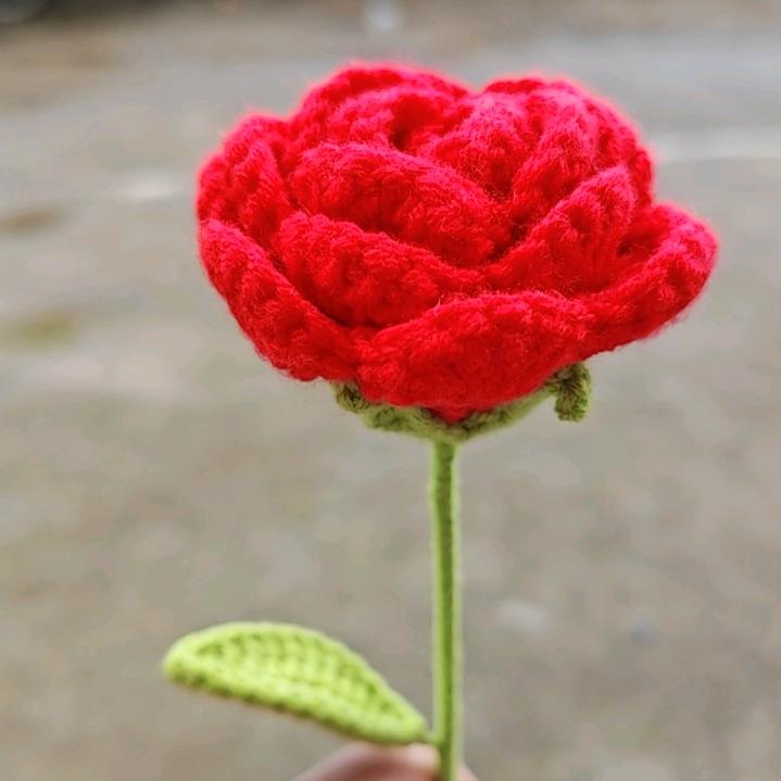 🌹瑶姐姐