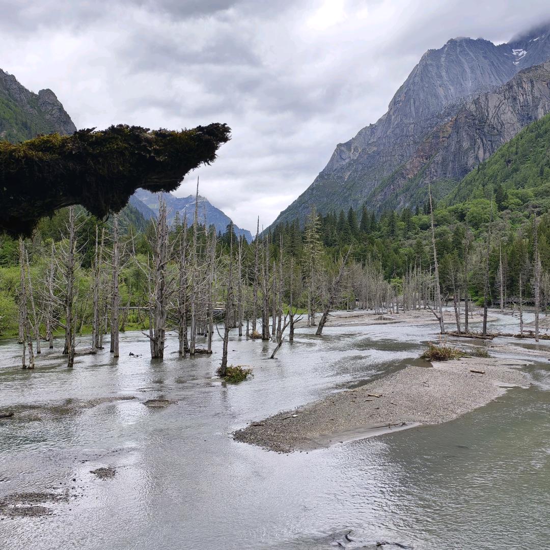 ღ᭄ 空白ン🕊꧔ꦿ᭄💞