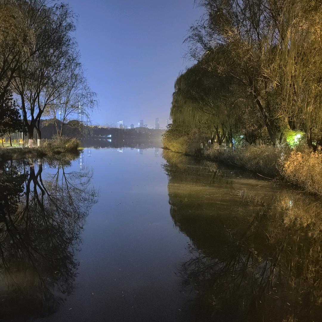 风吹💅🏻梧桐