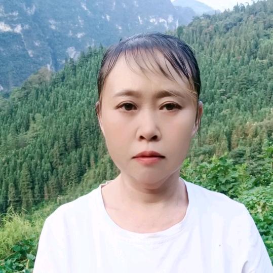 应会姐