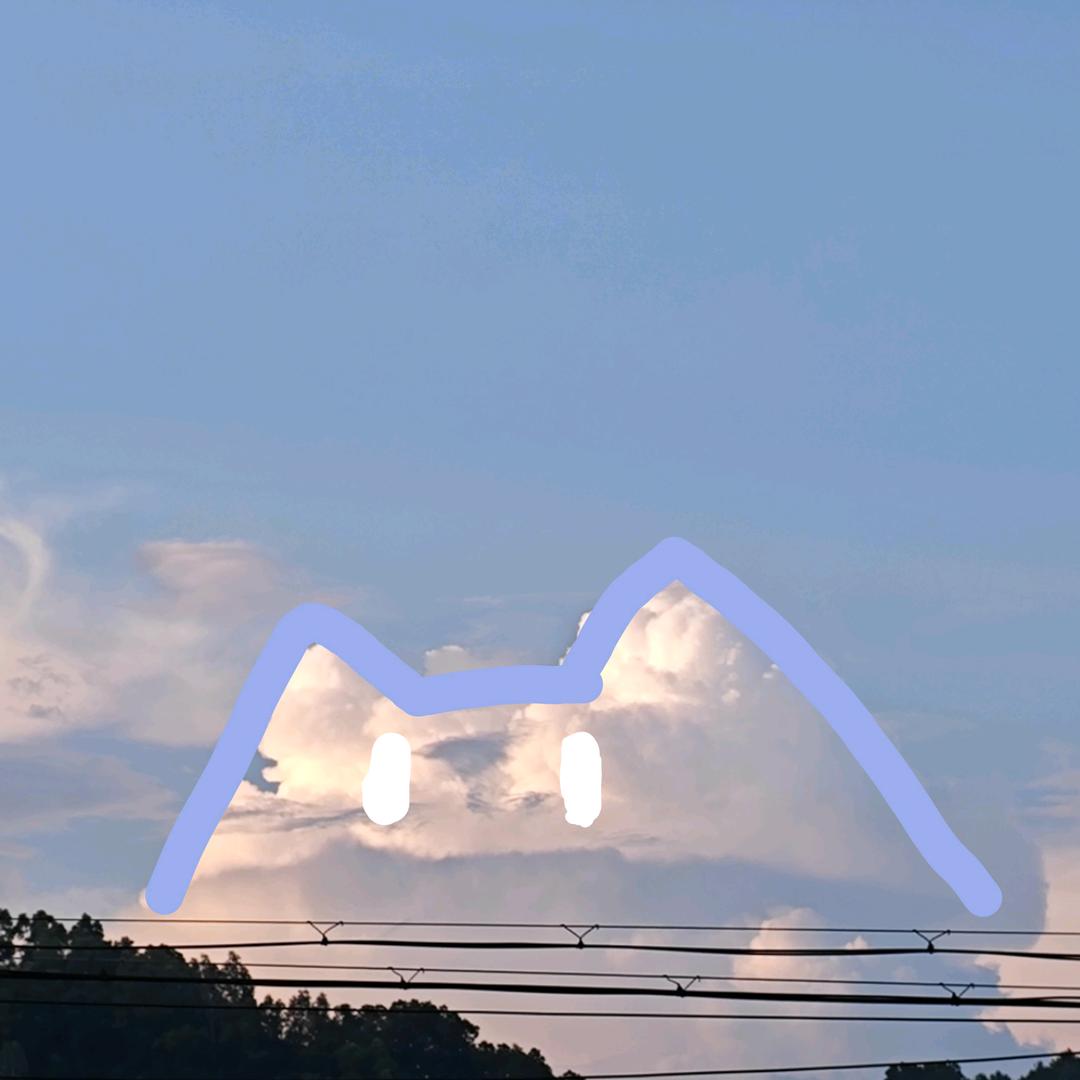 葡萄🍇葡萄小姐