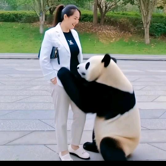 秦姐
