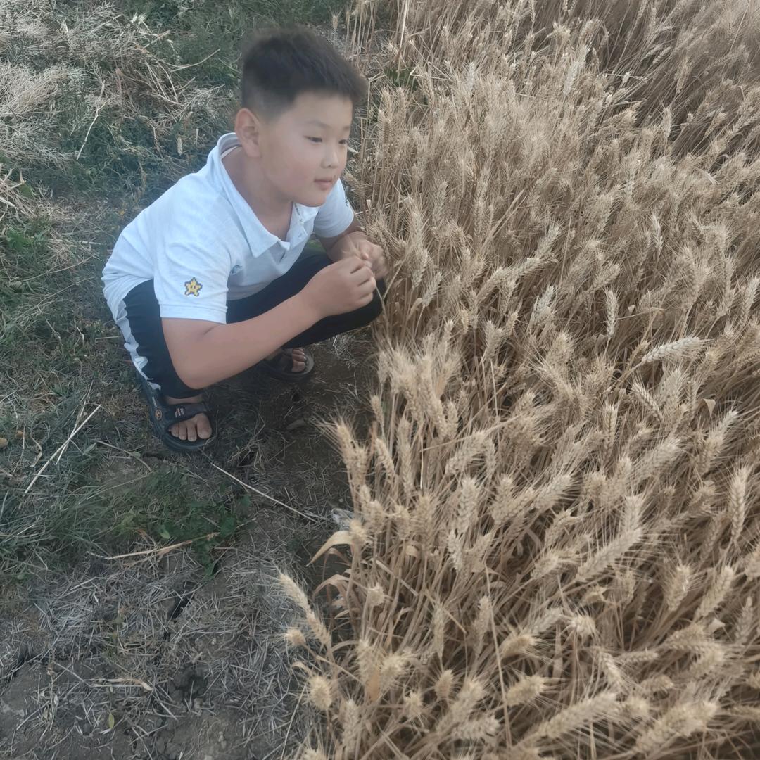 如初遇见