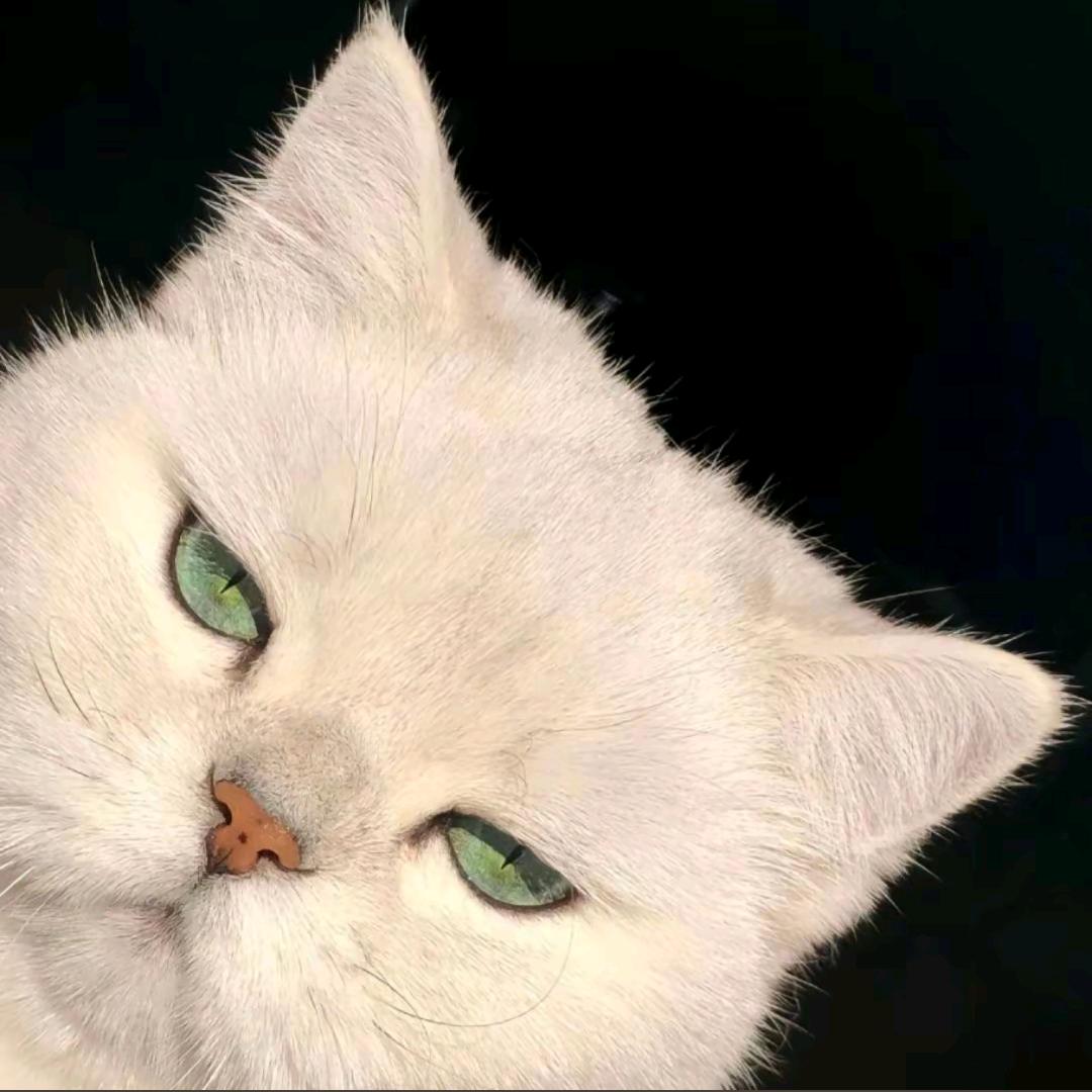 ^