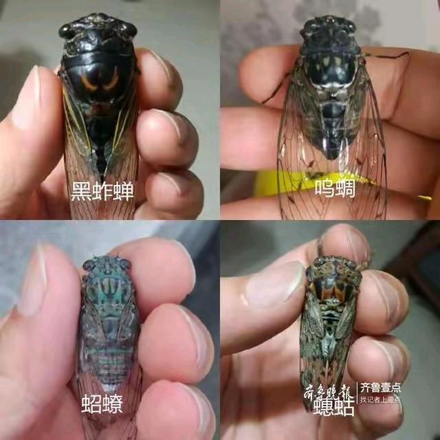 目标