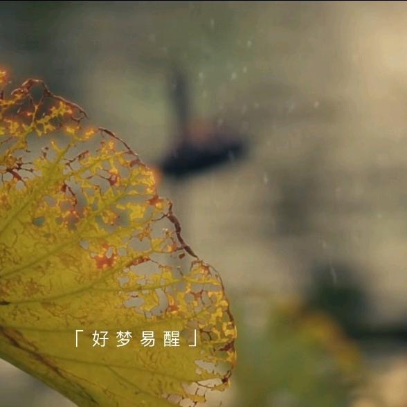 随遇