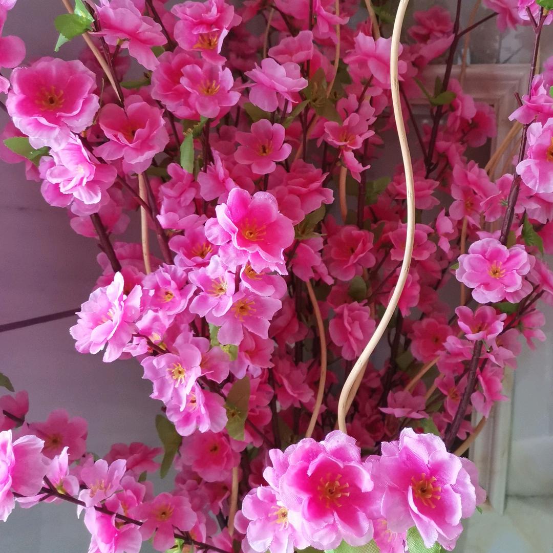 阿福👉一生何求