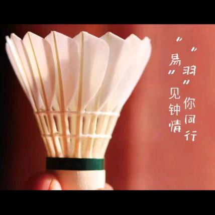 易县易羽羽毛球俱乐部
