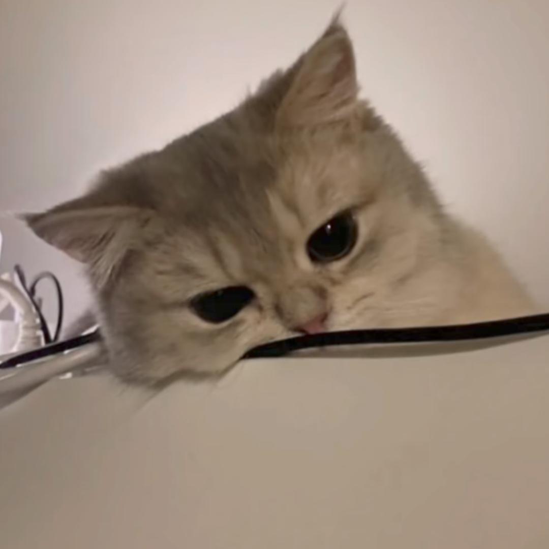 小航.