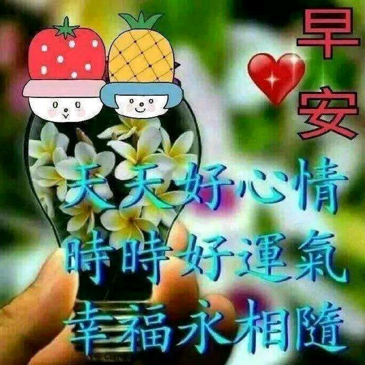思念杨MxM凱