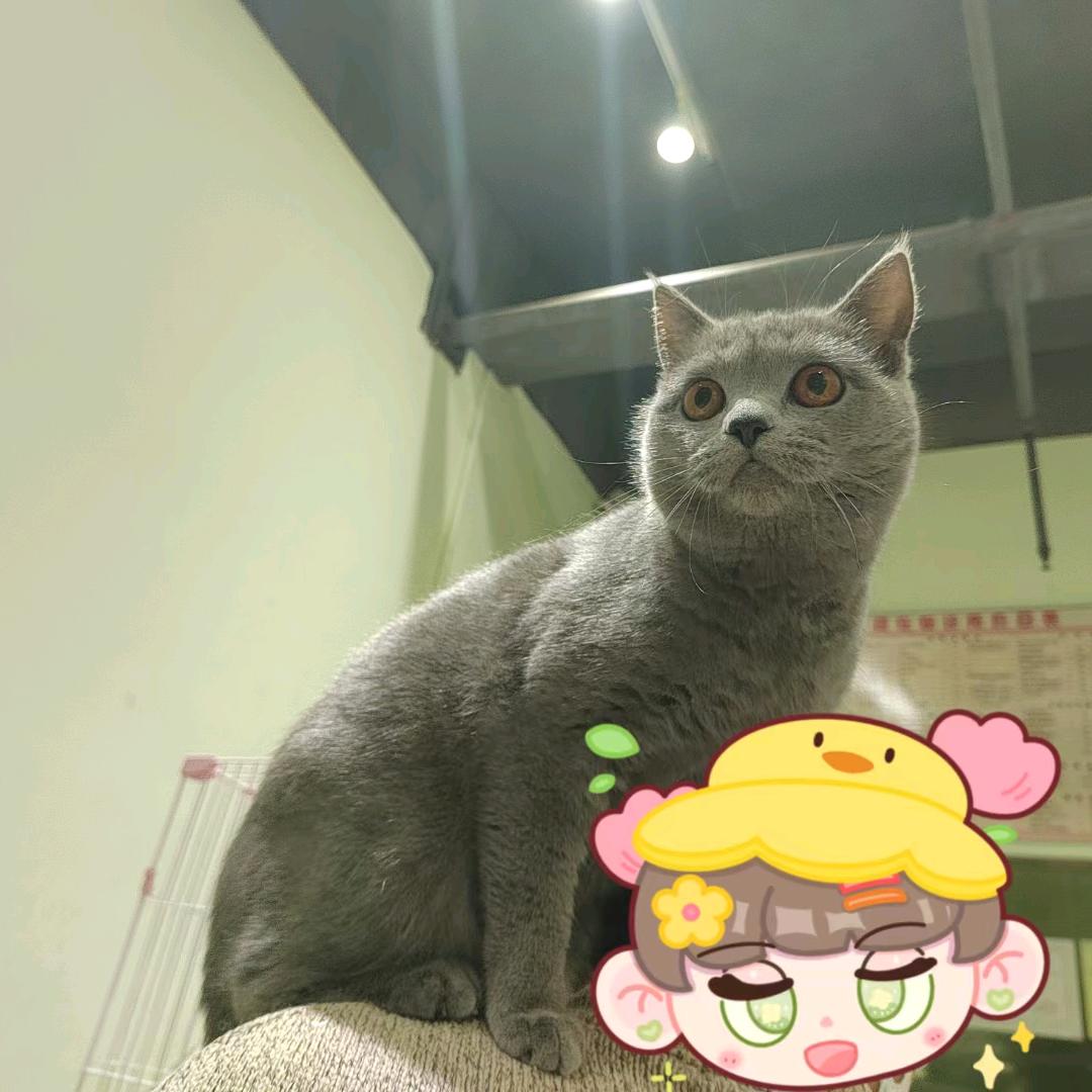 嗯ヽ(○^㉨^)ﾉ♪