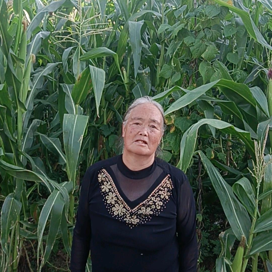 晚霞.