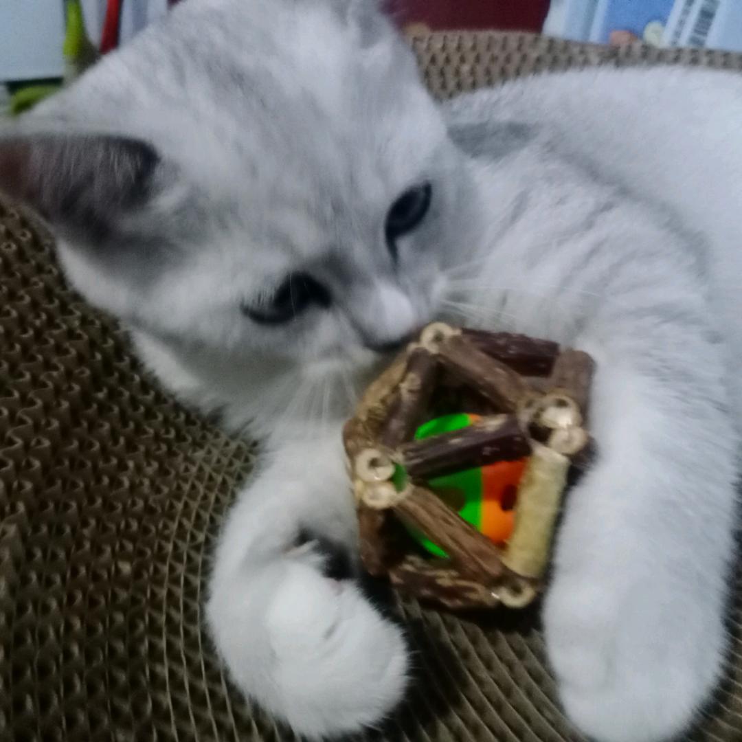 美食爱好者