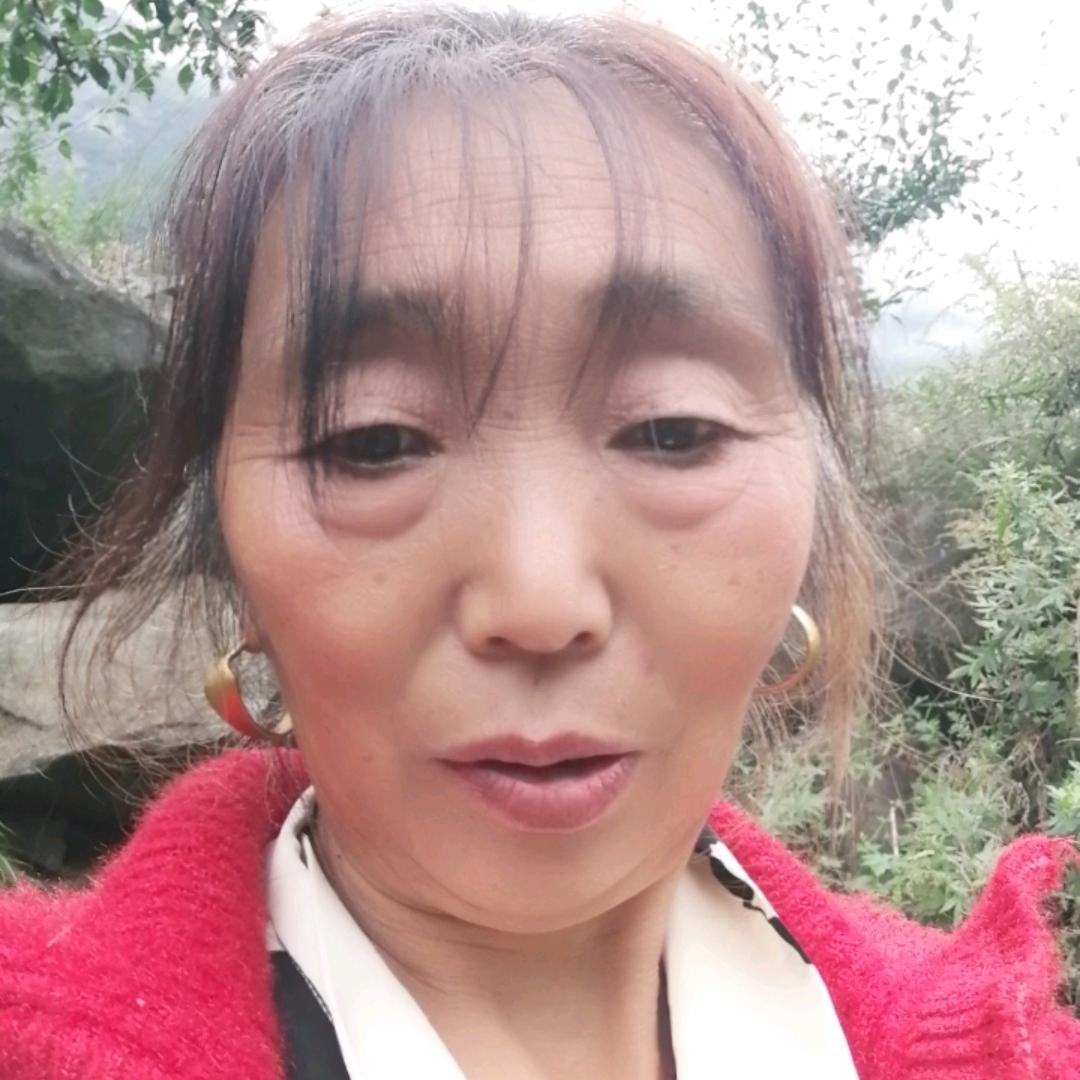 赵永凤