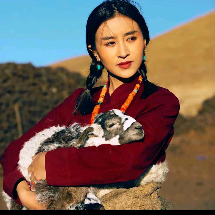 🔥羌塘姑💁