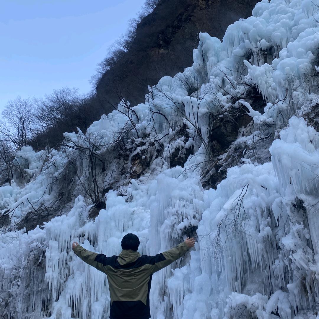 高乐高