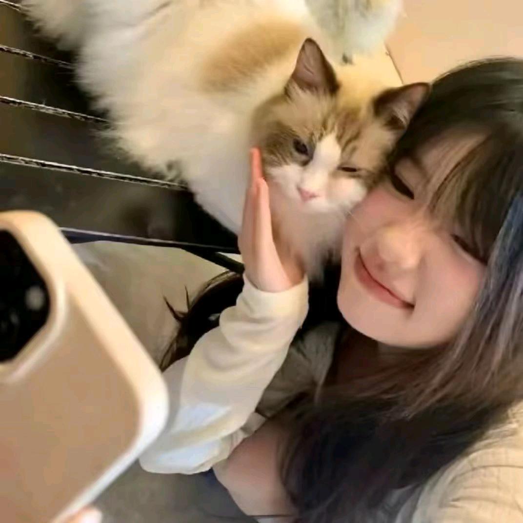 98岁猥琐老太开飞机轰飞所有见人