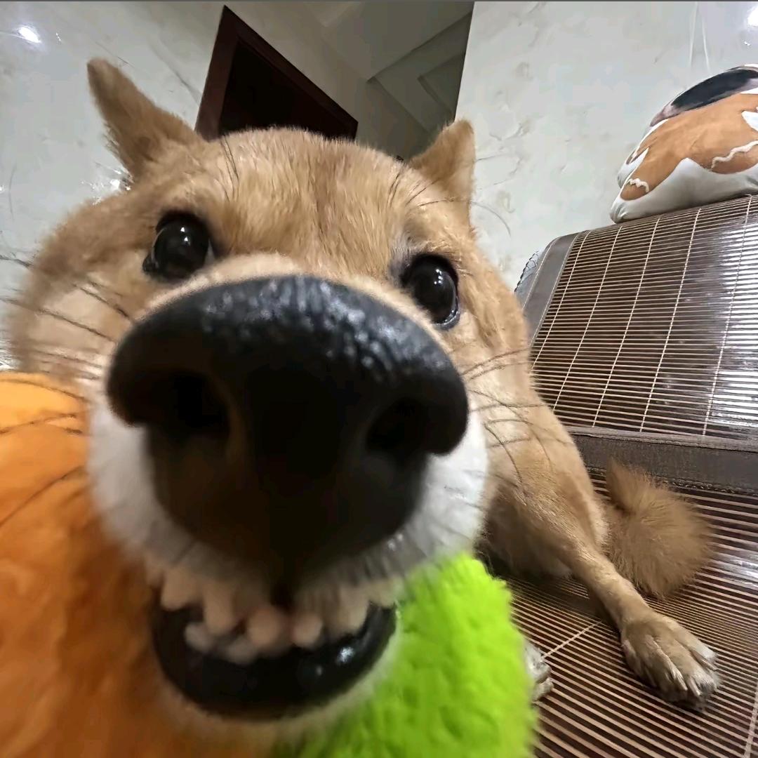 🤗