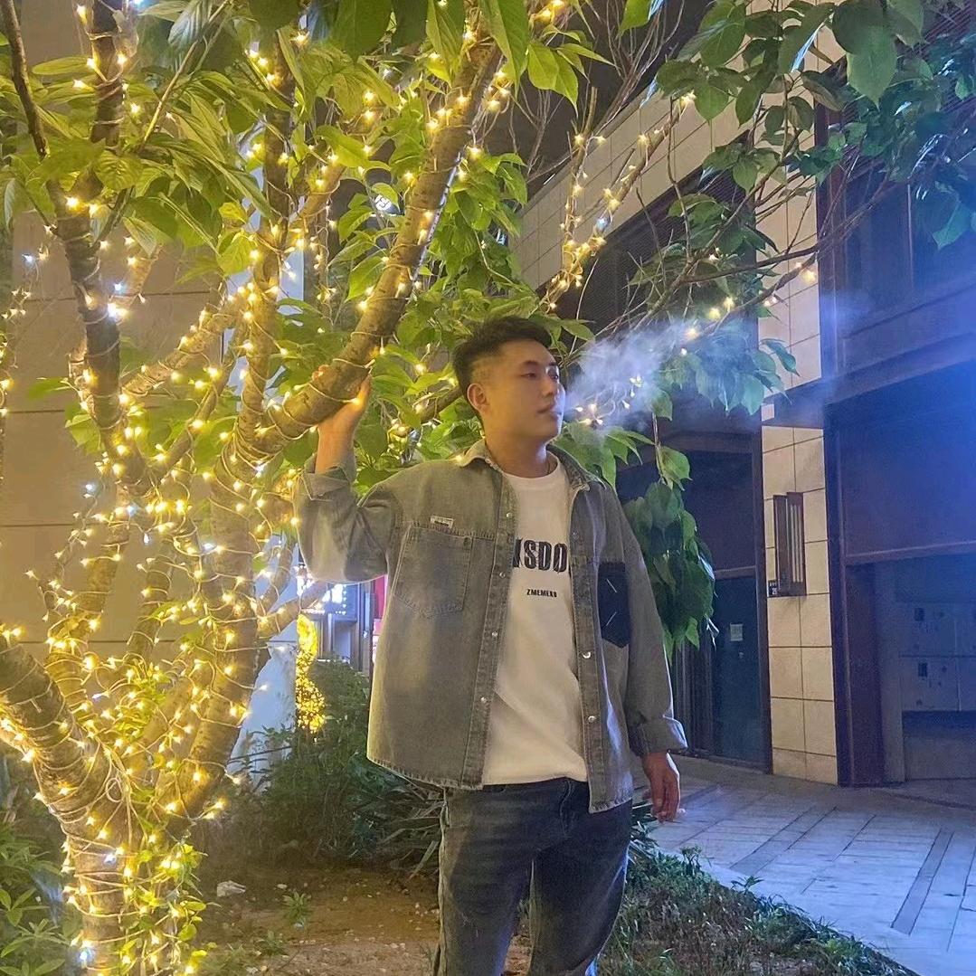 子龙