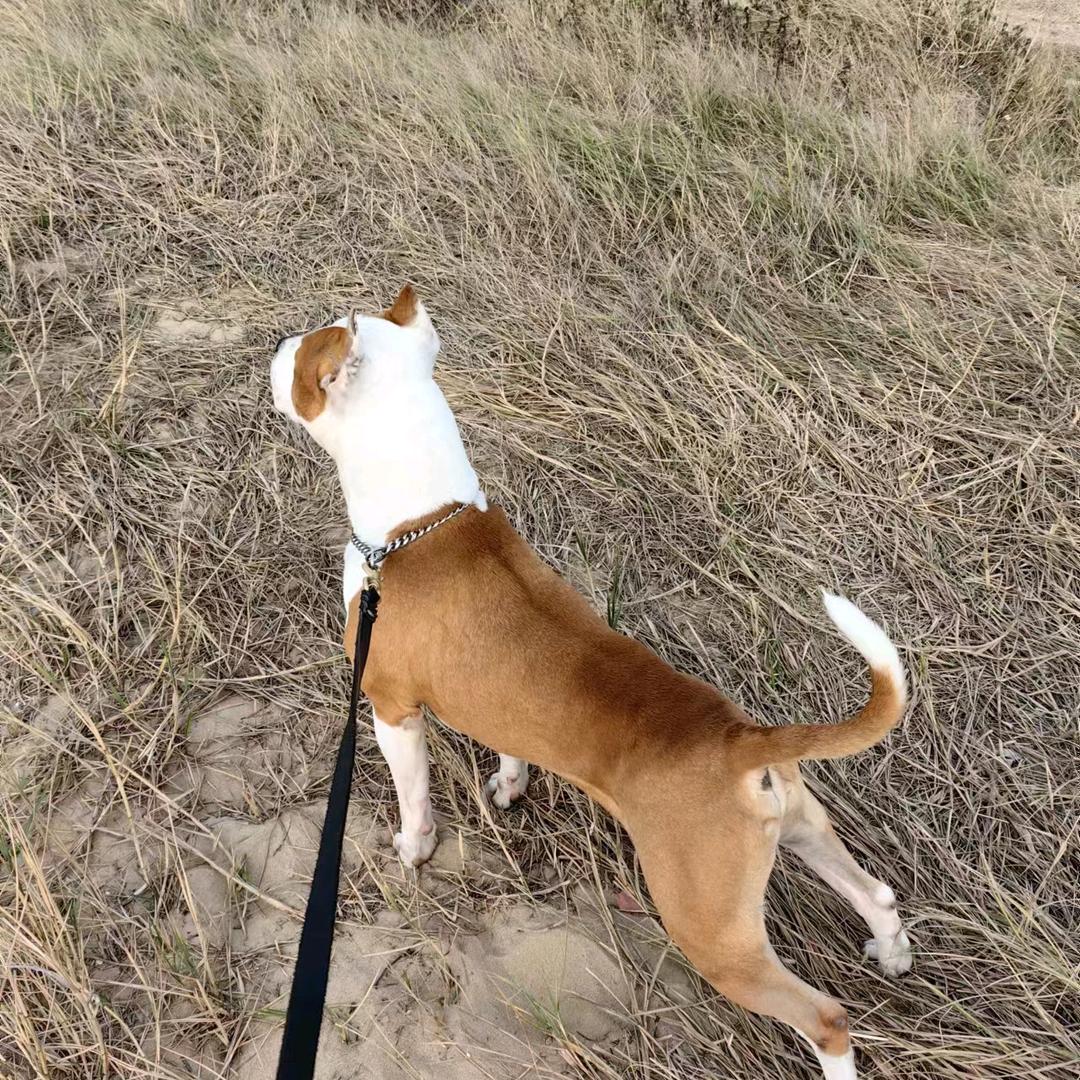 一笑而过 ☀☀☀☀