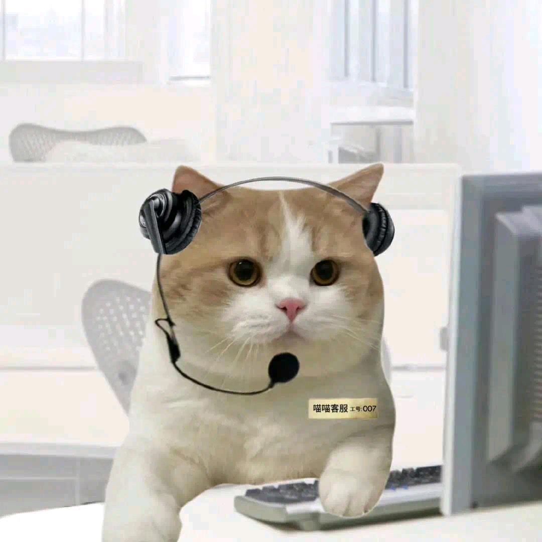 太阳金店淘金者也🔆