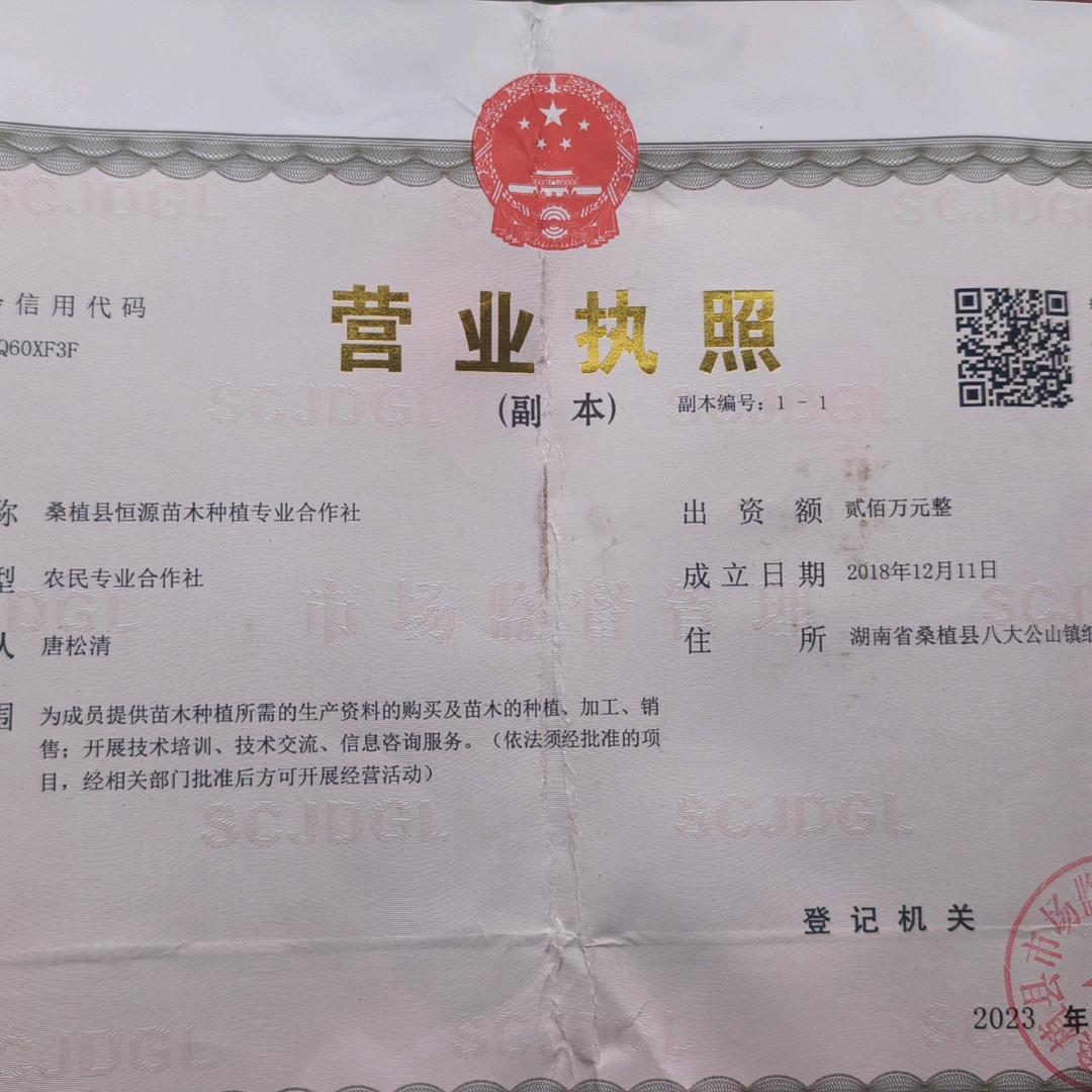 恒源苗木
