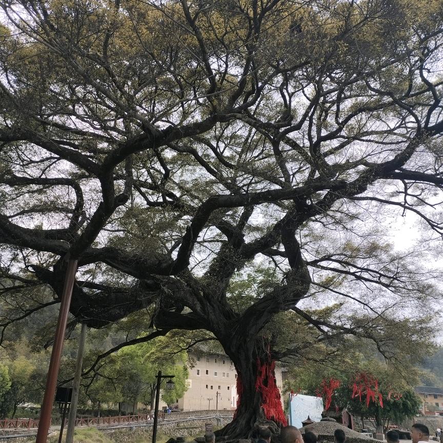 平凡人生