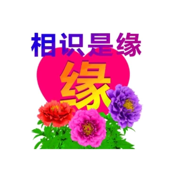 往后余生：靠自己。