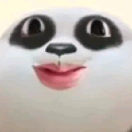 鹿北北